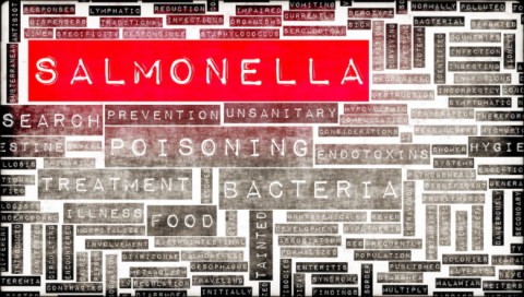 Chicken suspected in multi-country Salmonella outbreak